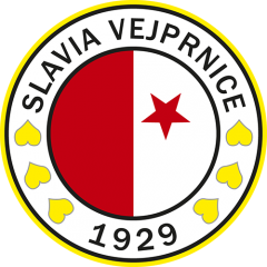 Fotbal Slavia Vejprnice vs. TJ Sokol Malesice